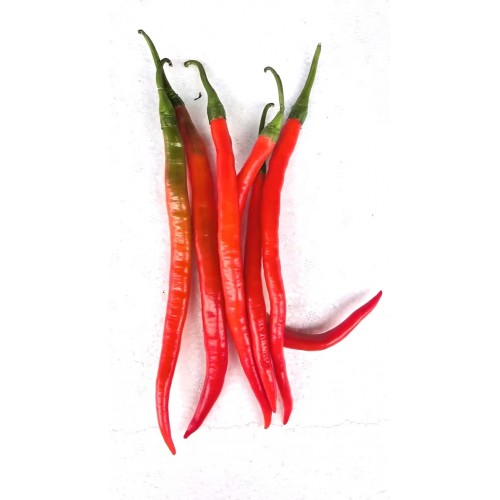 二荊條（紅色）